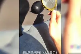 盘点中年夫妻的迷惑行为，每天上演斗智斗勇，谁也不服谁视频封面