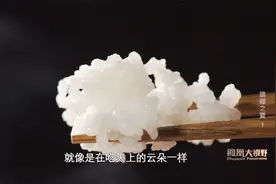 大米配大米？马来西亚“吃米专家”的神搭配！｜凤凰大视野视频封面