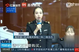 注意！海外买鳄鱼皮带干盏燕窝不能带入境视频封面