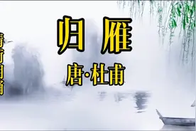 唐诗鉴赏系列，杜甫《归雁》，体会诗人心中的乡愁与故国之恋视频封面