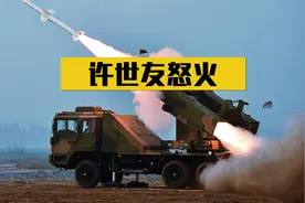 1979年许世友1个月打败越南，本来值得庆祝，为何他却不高兴？视频封面