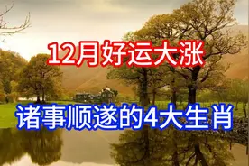 12月好运大涨，诸事顺遂的4大生肖，钱财满盈，顺风顺水一帆风顺视频封面