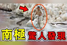 南极最可怕的10个发现！冰层拍摄的恐怖画面，第一名吓尿科学家视频封面