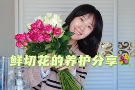 鲜切玫瑰养护三步指南！醒花插花提升家居幸福感
