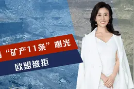 价值1亿！美乌“矿产11条”曝光，欧盟被拒，中方一句话回应视频封面