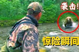 人类和熊正面遭遇惊险瞬间，如何成功脱险？真替视频中的人捏把汗视频封面