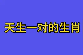 十二生肖天生最般配的一对，看看你在其中吗？视频封面