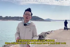 农历三月廿三，共庆妈祖诞辰视频封面