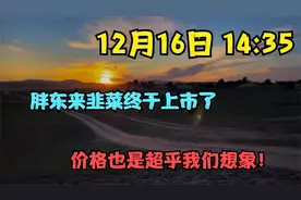 12月16日 14:35 胖东来韭菜终于上市了，价格也是超乎我们想象！视频封面