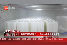 杭州：制冰厂满负荷运转 一天4000多条冰块全卖完视频封面