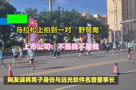 马拉松上拍到一对“野鸳鸯”？上市公司：不是我不是我视频封面