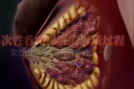 一次性看完母乳的形成过程，看完感叹女性的伟大视频封面