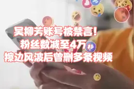 吴柳芳账号受限，粉丝数减至4万，视频被清视频封面