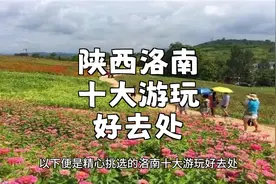 陕西洛南旅游攻略：揭秘十大热门景点，必游必看视频封面