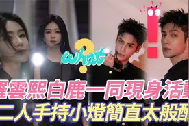 太惊艳了！白鹿罗云熙一同亮相西安活动，这举动妥妥氛围甜度十足视频封面