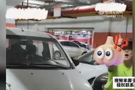 狗不拴绳被汽车压死，狗主找司机索赔被拒绝后，狗主砸车怒骂司机视频封面