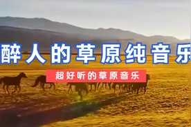 醉人的草原纯音乐，草原的风，草原的雨，好听的轻音乐。视频封面
