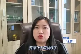 不干了？多国宣布停飞中国航线，法德观望中，背后原因很简单视频封面