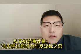 从吴柳芳事件看：法无禁止即可为与反双标之思视频封面