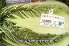 日元贬值，奢侈品变白菜视频封面