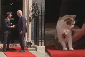 拜登会见英国首相 抵达唐宁街10号前，首相府御猫霸占红毯被抱走视频封面
