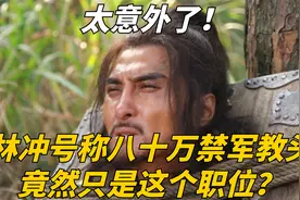 林冲号称八十万禁军教头，在现代是这个职位？太意外了！视频封面
