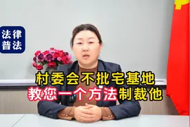 村委会不批宅基地 教您一个方法制裁他-视频封面