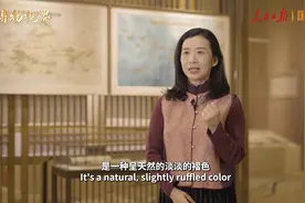 紫花布：风靡欧洲时尚圈的中国名片 | 博物视界视频封面