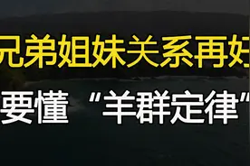 兄弟姐妹关系再好，也要懂得“羊群定律”视频封面
