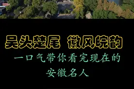 一口气带你了解安徽知名企业家#安徽 #王传福  #疯狂小杨哥 视频封面