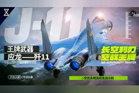 王牌武器——歼11多用途空优战斗机视频封面