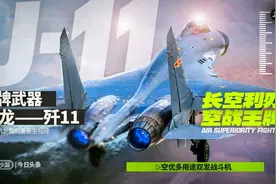 王牌武器——歼11多用途空优战斗机视频封面