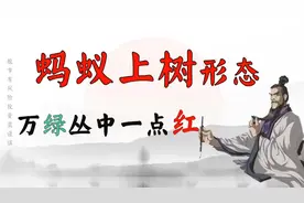 从巨亏到巨赚：一旦出现蚂蚁上树这种形态，必将开启一波主升浪视频封面
