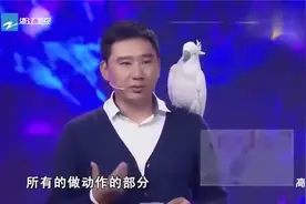鹦鹉成精了，不仅会说话还能听懂话，让亲就亲绝不含糊视频封面