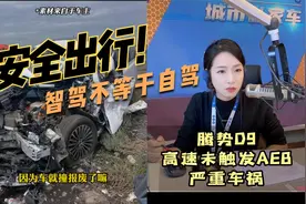 腾势D9高速未触发AEB发生严重车祸，车主真情讲述事故经过视频封面
