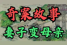 奇案故事：妻子变母亲视频封面