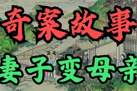 奇案故事：妻子变母亲视频封面