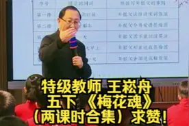 特级教师王崧舟 五下 《梅花魂》（两课时合集）视频封面