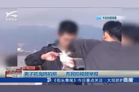 男子抓海鸥被处罚后起诉相关单位视频封面