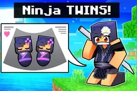 【Aphmau】我怀上了《我的世界》中的忍者双胞胎