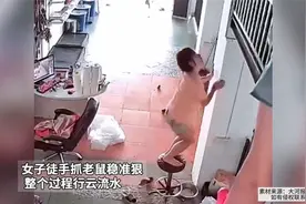 女子徒手抓老鼠稳准狠,整个过程行云流水