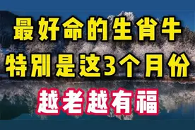 最好命的生肖牛，特别这3个月份出生的，越老越有福，看看有你吗视频封面