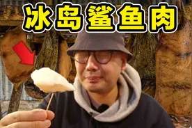 试吃冰岛鲨鱼肉！比鲱鱼罐头臭几十倍！到底什么味道？