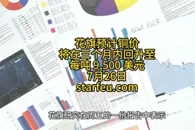 花旗预计铜价将在三个月内回升至每吨 9,500 美元视频封面
