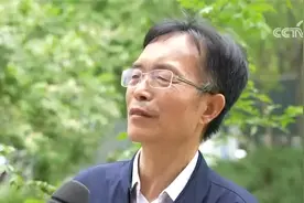 自由职业者是否需要强制缴纳社保？灵活就业人员不强制参加社保