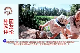 国外博主对比安全问题，美国网友：美国街上允许持枪但不许喝酒视频封面