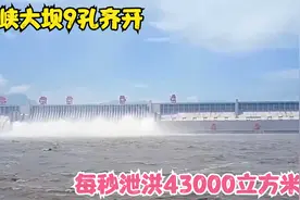 三峡大坝9孔齐开！每秒泄洪43000立方米！日本记者采访后感动落泪视频封面