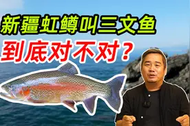 新疆“海鲜”虹鳟鱼叫三文鱼对不对，5年前就有答案了！视频封面