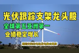 光伏跟踪支架龙头股，全球第五亚洲第一，业绩稳定增长视频封面