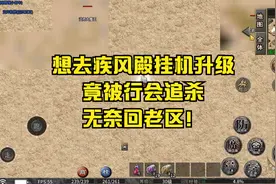 想去疾风殿挂机升级，竟被行会追杀，无奈回老区！